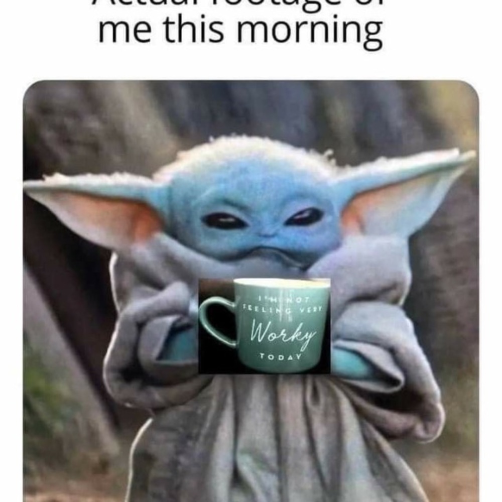 Meet your Posher 🌴🌞🌻